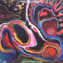 Angry Eelectric Finger Part Two: Paraparaparallellogrammatica (with Cyclobe)